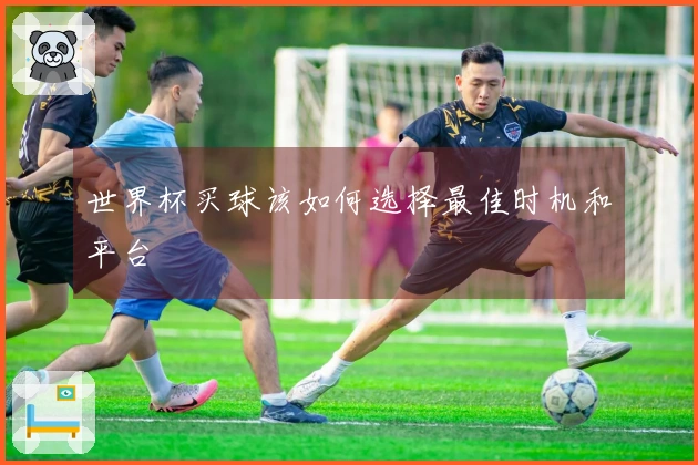 世界杯买球该如何选择最佳时机和平台