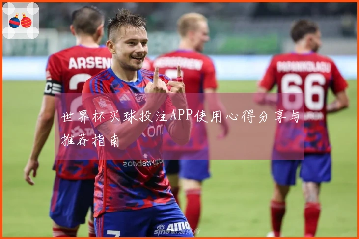 世界杯买球投注APP使用心得分享与推荐指南
