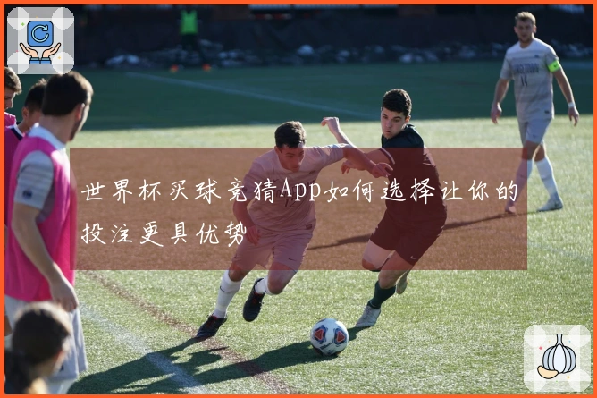 世界杯买球竞猜App如何选择让你的投注更具优势