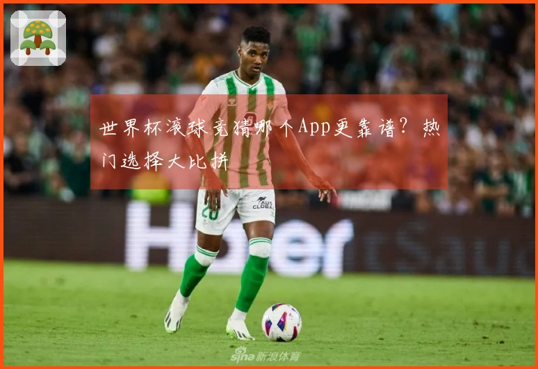 世界杯滚球竞猜哪个App更靠谱？热门选择大比拼