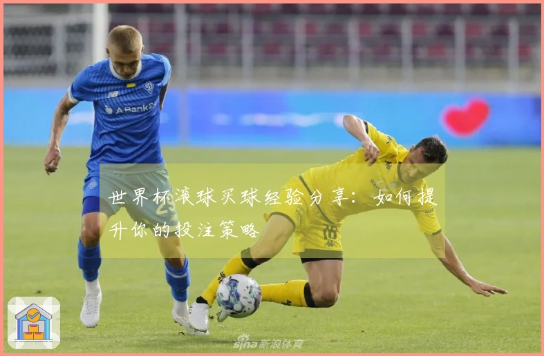 世界杯滚球买球经验分享：如何提升你的投注策略