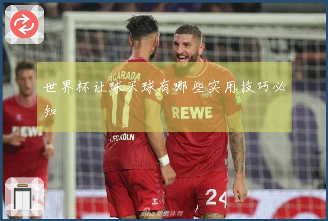 世界杯让球买球有哪些实用技巧必知