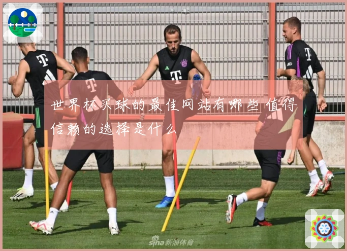 世界杯买球的最佳网站有哪些 值得信赖的选择是什么