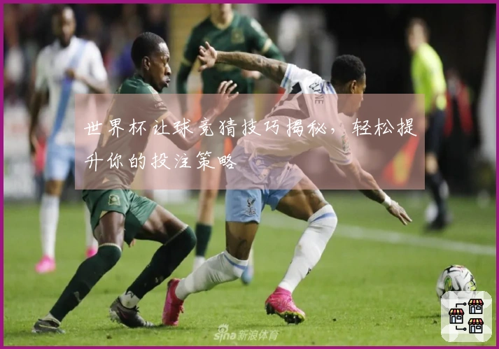 世界杯让球竞猜技巧揭秘，轻松提升你的投注策略