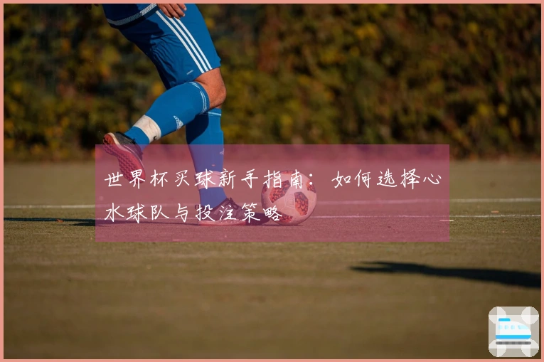 世界杯买球新手指南：如何选择心水球队与投注策略