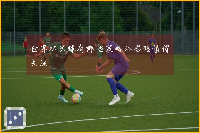 世界杯买球有哪些策略和思路值得关注